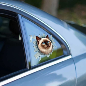 Fulcar Siamesse Araç Stickerı