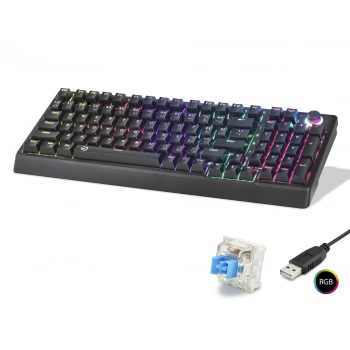 Mekanik Klavye 104 Tuş Blue Switch Rgb - Siyah G500XB