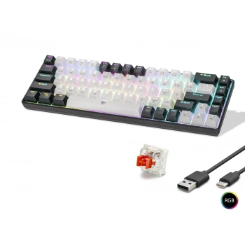 Mekanik Klavye Tri Mod Rgb Red Switch - Beyaz Siyah MF1703W