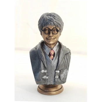Polyester Harry Potter Büst Küçük 235