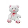 35 CM PATİLEN KALPLİ AYI