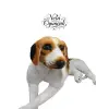 PELUŞ KÖPEK*20