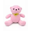 PELUŞ AYICIK 26 CM