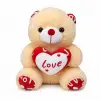 KAPLİ 35 CM AYI*100