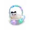 SEPETTE IŞIKLI KEDİ*400