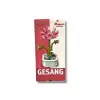 GESANG ÇİÇEĞİ LEGO*24