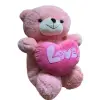 KALPLİ RENKLİ AYI PELUŞ*50