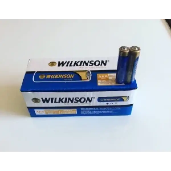 AAA R03 PIL INCE NO:60*20