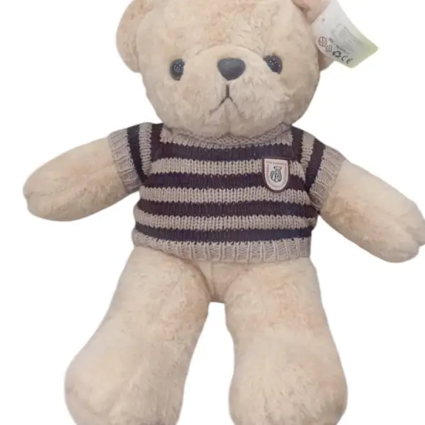 TEDDY AYICIK PELUŞ 50 CM