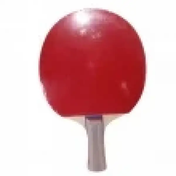 TEKLİ KALİTELİ RAKET *100