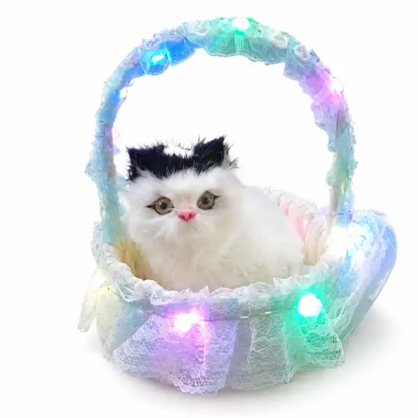 SEPETTE IŞIKLI KEDİ*400