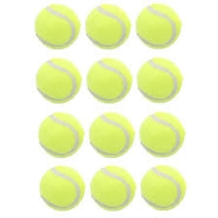 TENİS TOPU *12*30