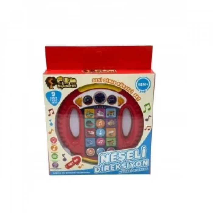 KUTULU TÜRKÇE DİREKSİYON*72