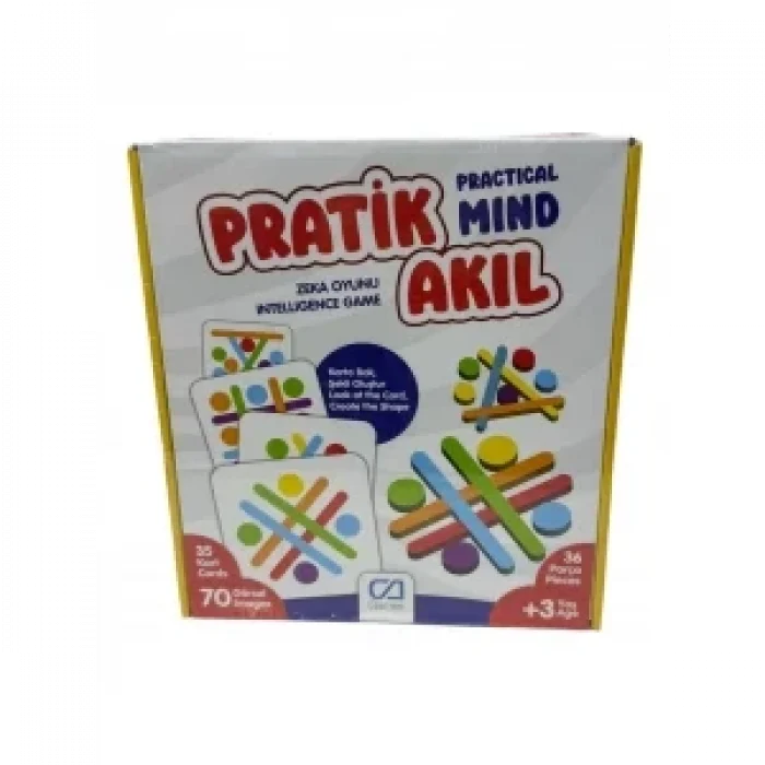 PRATİK AKIL*24