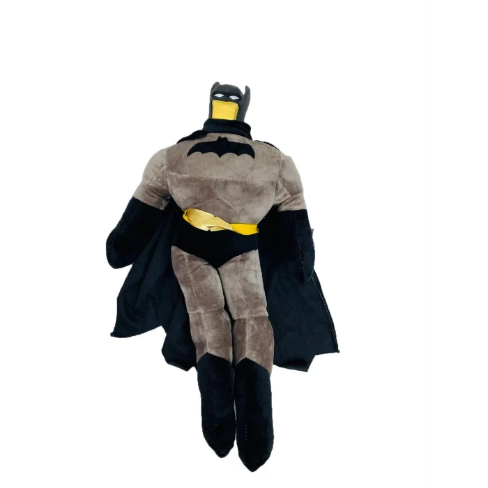 GRİ PALERİNLİ ADAM