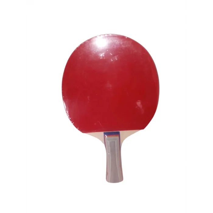 TEKLİ KALİTELİ RAKET *100