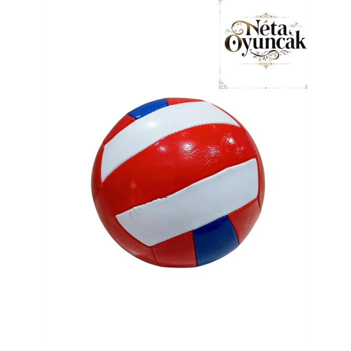 VOLEYBOL TOPU*100