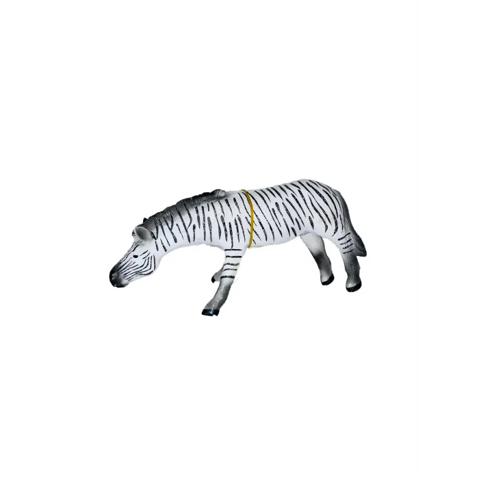ZEBRA *70