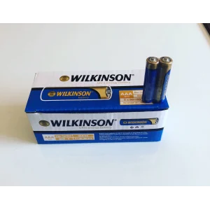 AAA R03 PIL INCE NO:60*20