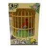 KAFESTE PAPAĞAN*96