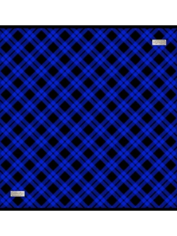 LABOUTİQUE SURA İPEK EŞARP 2060-04