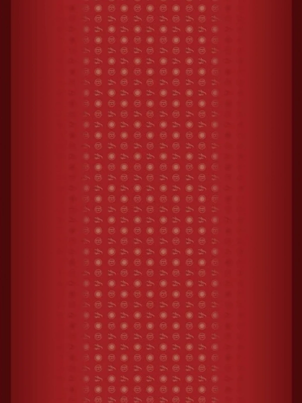 LABOUTİQUE ÖZEL SERİ ŞAL 247605