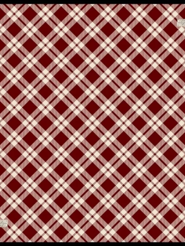 LABOUTİQUE SURA İPEK EŞARP 2060-10