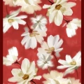 LABOUTİQUE ÖZEL SERİ ŞAL 262907