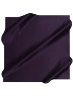 AKER DÜZ TAŞLANMIŞ İPEK EŞARP 7747758-394