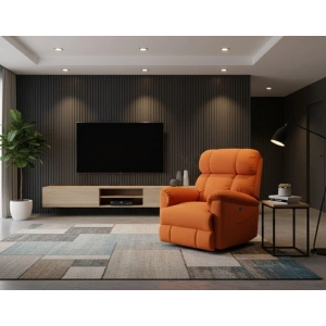 Remo Sallanır Tv Koltuğu