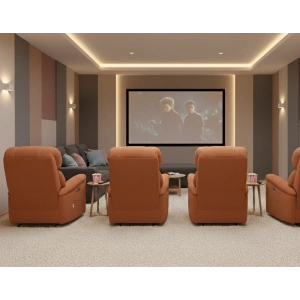 Remo Sinema Koltuğu