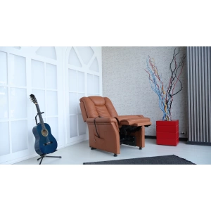Loft Tv Koltuğu