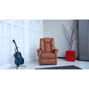Loft Tv Koltuğu