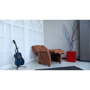 Loft Tv Koltuğu
