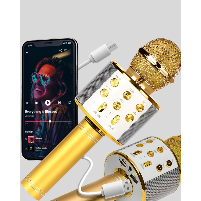 Karaoke Mikrofonu Bluetooth Usb Aux Girişli Yankı Efektli