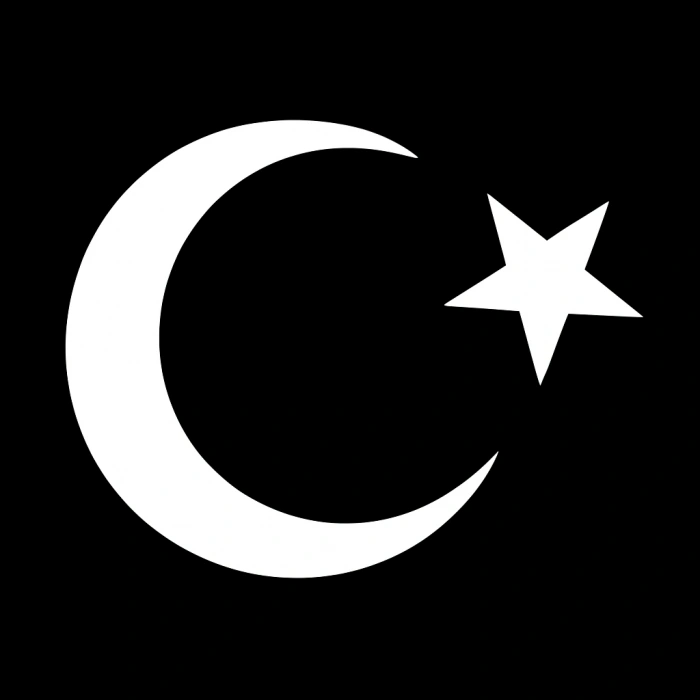 Türk Bayrağı Oto Sticker Beyaz 23x17 cm