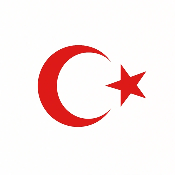 Türk Bayrağı Oto Sticker Kırmızı 23x17 cm