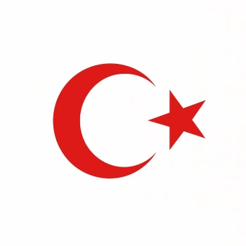 Türk Bayrağı Oto Sticker Kırmızı 23x17 cm