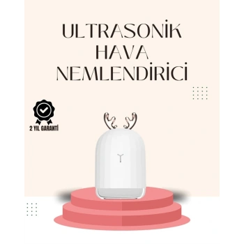 Usb Şarjlı Mini Usb Nemlendirici Led Işıklı Masaüstü Cihaz