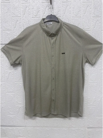 Kısa Kollu Düğmeli Gömlek