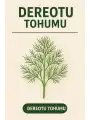 Dereotu Tohumu