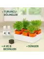 Topraksız Tarım Seti – 6 Bölmeli Mini Hidroponik Bahçe Seti