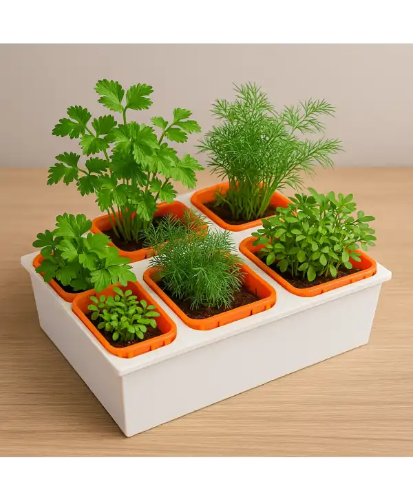 Topraksız Tarım Seti – 6 Bölmeli Mini Hidroponik Bahçe Seti