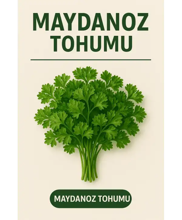 Maydanoz Tohumu