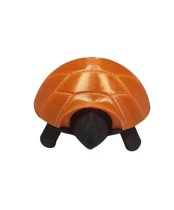 STEM Kaplumbağa Seti - Çocuklar İçin Eğlenceli ve Eğitici Montaj Oyuncağı