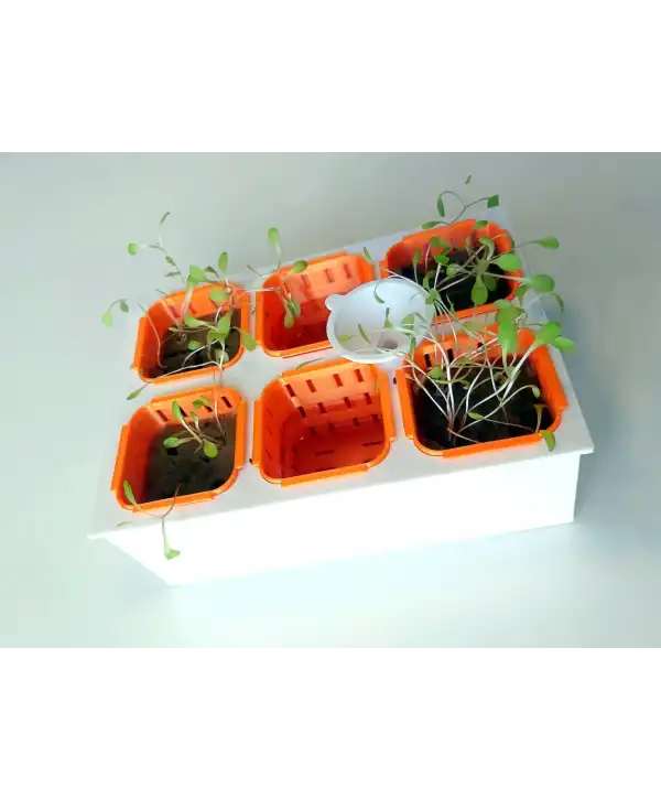 Topraksız Tarım Seti – 6 Bölmeli Mini Hidroponik Bahçe Seti