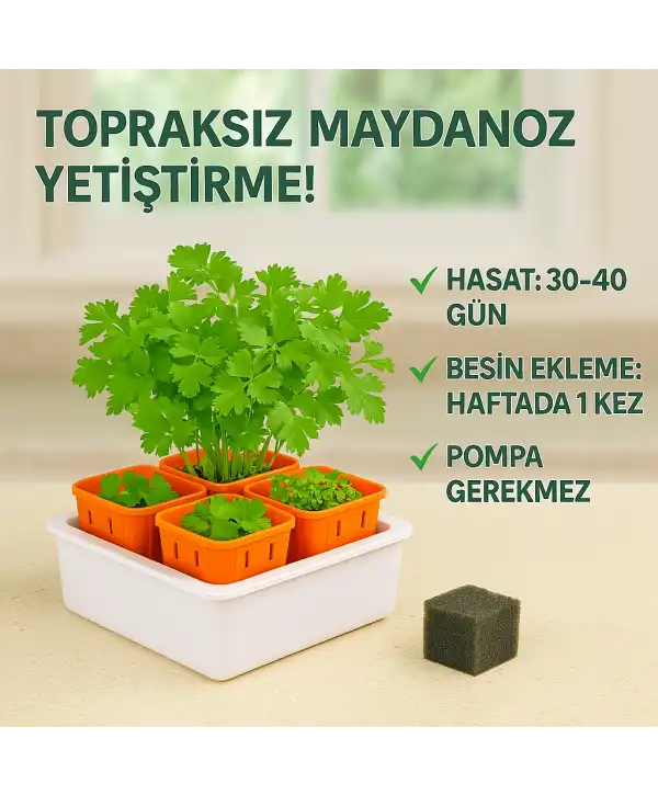 Topraksız Tarım Seti – 6 Bölmeli Mini Hidroponik Bahçe Seti
