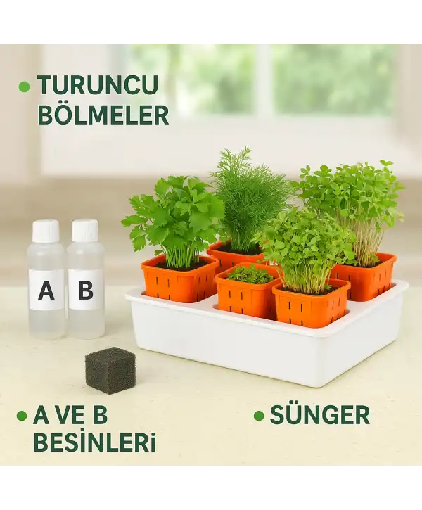 Topraksız Tarım Seti – 6 Bölmeli Mini Hidroponik Bahçe Seti