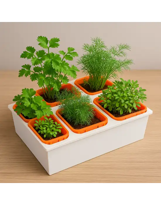 Topraksız Tarım Seti – 6 Bölmeli Mini Hidroponik Bahçe Seti