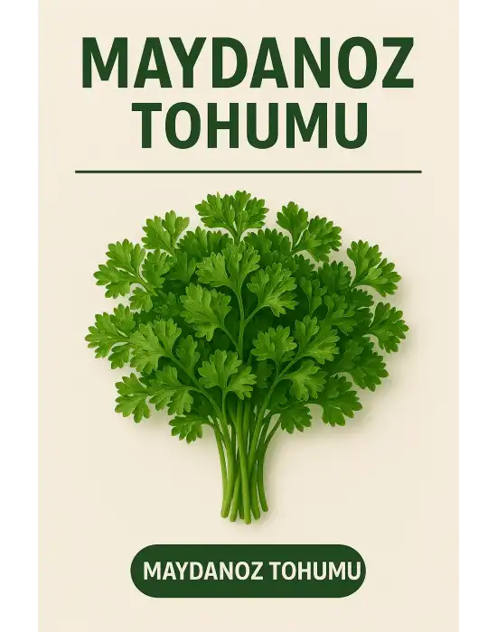 Maydanoz Tohumu